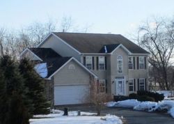 Pre-foreclosure Listing in CROSS CREEK ESTATES LN BELVIDERE, IL 61008