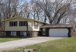 Pre-foreclosure in  96TH AVE N Port Byron, IL 61275