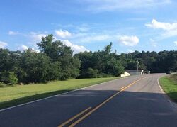 Pre-foreclosure in  GALLANT RD Gallant, AL 35972