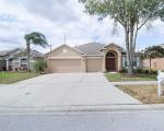 Pre-foreclosure in  VALENCIA GROVE DR Valrico, FL 33596