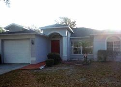 Pre-foreclosure in  MOHRLAKE DR Brandon, FL 33511