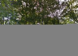 Pre-foreclosure Listing in COUNTRY CLUB CT LIVINGSTON, NJ 07039