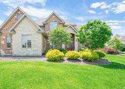 Pre-foreclosure in  NATURE CREEK CT Frankfort, IL 60423