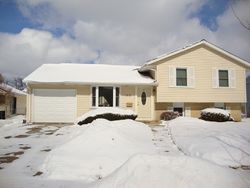 Pre-foreclosure Listing in W ALTGELD AVE GLENDALE HEIGHTS, IL 60139