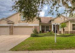 Pre-foreclosure Listing in JAEGERGLEN DR LITHIA, FL 33547