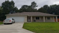 Pre-foreclosure Listing in SE 161ST ST SUMMERFIELD, FL 34491