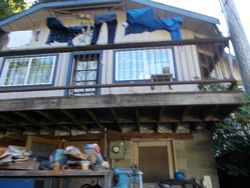 Pre-foreclosure in  CHAMBERS ST SE Olympia, WA 98501