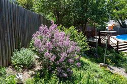  Browning Ave, Manhattan KS