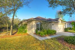 Pre-foreclosure in  CRYSTAL CARBON WAY Valrico, FL 33594