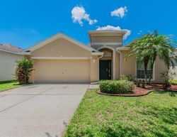  Emerald Hill Way, Valrico FL