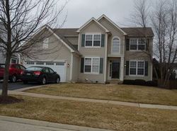 Pre-foreclosure in  MEADOWS DR Gilberts, IL 60136