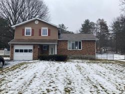 Pre-foreclosure in  FAIRLAWN DR Selkirk, NY 12158