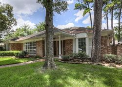 Pre-foreclosure in  RIP VAN WINKLE DR Houston, TX 77024