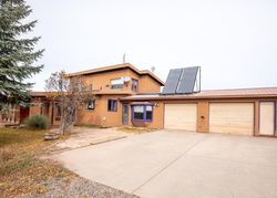 Pre-foreclosure in  PRINCE DR Carbondale, CO 81623