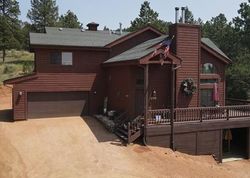 Pre-foreclosure in  DOUGLAS FIR DR Woodland Park, CO 80863