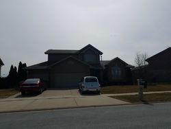 Pre-foreclosure in  LISADELL DR Tinley Park, IL 60487