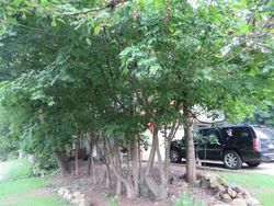Pre-foreclosure in  WINDING CREEK RD Plainfield, IL 60586