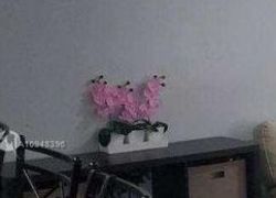 Pre-foreclosure in  SW 8TH PL Homestead, FL 33034