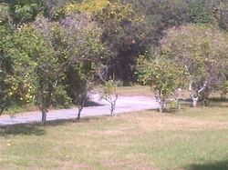 Pre-foreclosure Listing in S BENEVA RD SARASOTA, FL 34232