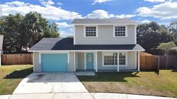 Pre-foreclosure in  PALM LEAF DR Brandon, FL 33510