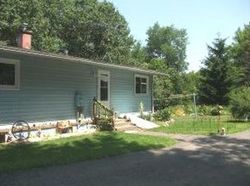 Pre-foreclosure Listing in PINE TREE LN IOLA, WI 54945