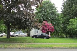 Pre-foreclosure in  96TH ST S Tacoma, WA 98444