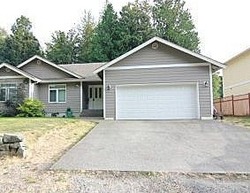 Pre-foreclosure in  W 99TH ST Blaine, WA 98230