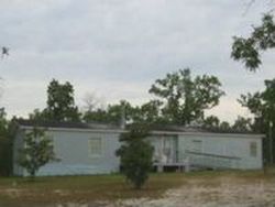 Pre-foreclosure in  RALEIGH RD Keystone Heights, FL 32656