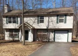 Pre-foreclosure in  HUNTERS WOODS DR East Stroudsburg, PA 18301