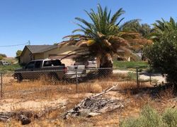 Pre-foreclosure Listing in E REGENTS RD MOHAVE VALLEY, AZ 86440