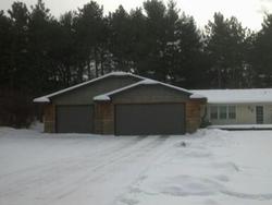 Pre-foreclosure in  151ST LN NW Anoka, MN 55303
