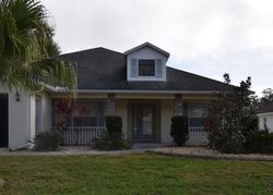 Pre-foreclosure Listing in TOWERING OAKS CIR SEFFNER, FL 33584