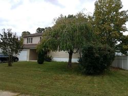 Pre-foreclosure in  BROADLEAF DR Newark, DE 19702