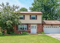 Pre-foreclosure Listing in DEERBORN AVE MENTOR, OH 44060