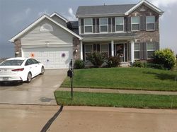 Pre-foreclosure Listing in ALBERS POINTE DR FLORISSANT, MO 63034