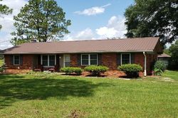 Pre-foreclosure Listing in JONES RD NEWTON, AL 36352