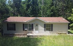 Pre-foreclosure in  S STEWART CT Lakeview, AR 72642