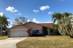 Pre-foreclosure in  CHELSEA LOOP Land O Lakes, FL 34639