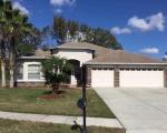  Dinhurst Ct, Land O Lakes FL