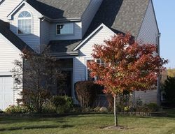 Pre-foreclosure in  MAGNOLIA DR Crystal Lake, IL 60014