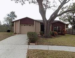  Cinnabar Ct, Brandon FL
