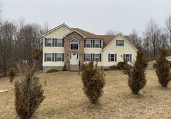 Pre-foreclosure Listing in WHITE BIRCH DR LONG POND, PA 18334