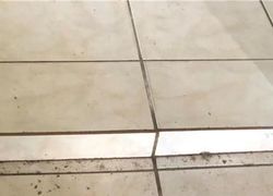 Pre-foreclosure in  E CELESTE ST Apopka, FL 32703