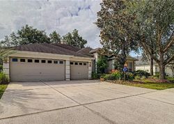 Pre-foreclosure in  SHADOW BRANCH DR Tampa, FL 33647