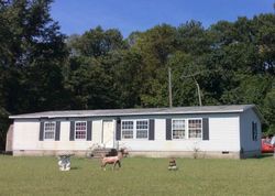 Pre-foreclosure Listing in ADAMS RD LAUREL, DE 19956