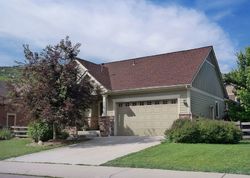 Pre-foreclosure in  RAYMOND CT Lyons, CO 80540