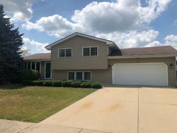 Pre-foreclosure Listing in PLANK RD NEW LENOX, IL 60451