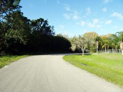 Pre-foreclosure in  DOLORES RD NE Palm Bay, FL 32907