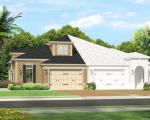 Pre-foreclosure in  BARLETTA CT Wesley Chapel, FL 33543