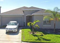 Pre-foreclosure in  CRESTED FRINGE DR Riverview, FL 33578